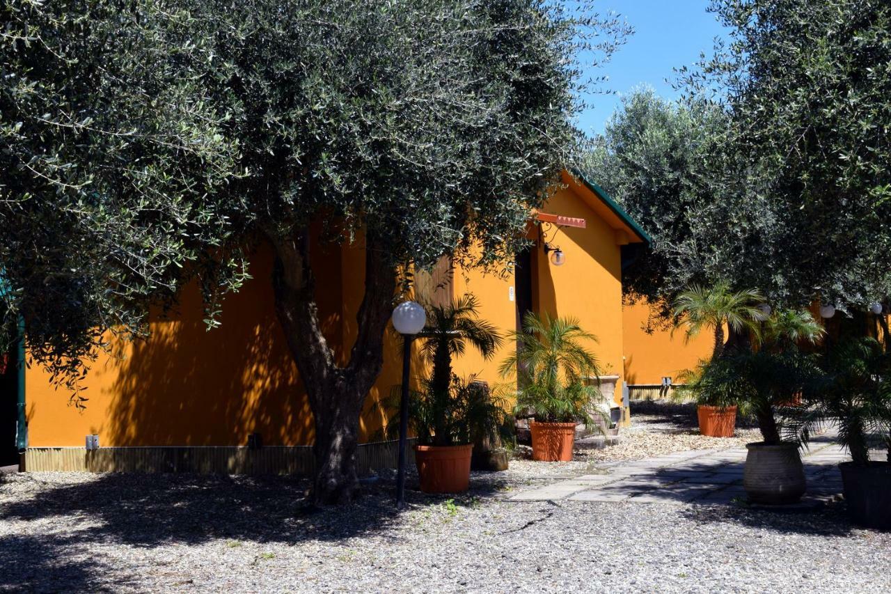 Riviera Degli Eucalipti - Cottage In Riva Al Mare Acireale Esterno foto