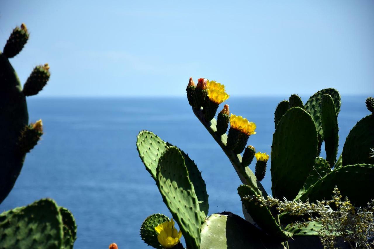 Riviera Degli Eucalipti - Cottage In Riva Al Mare Acireale Esterno foto